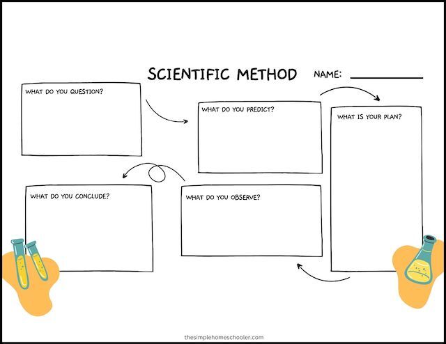 Scientific Method Worksheet Grade 9