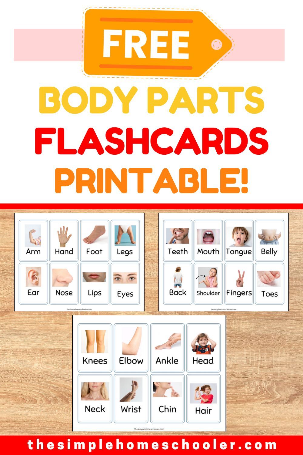 free printable body parts flashcards for kids! - the simple
