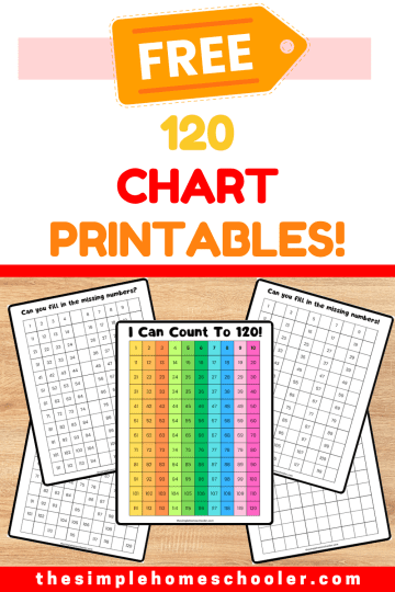 Best 120 Chart Printable and Worksheets: Easy Print! - The Simple ...